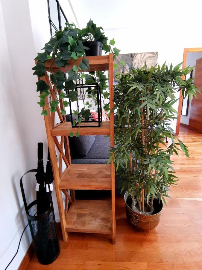 Apartamento El Rincon De Sancha Toledo Zewnętrze zdjęcie